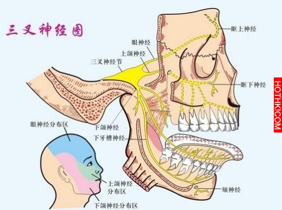 他因為帶狀皰疹去看病，卻發現了腫瘤