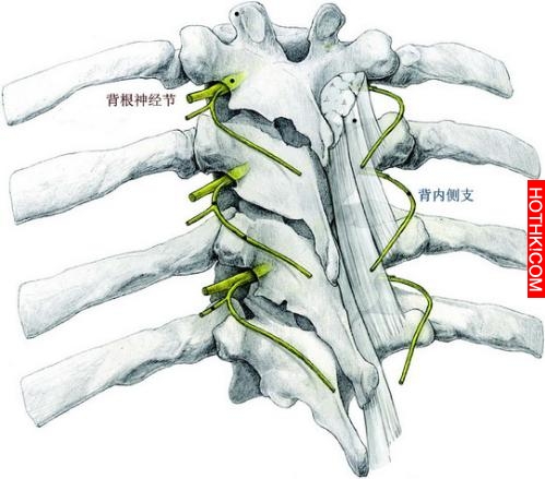 他因為帶狀皰疹去看病，卻發現了腫瘤