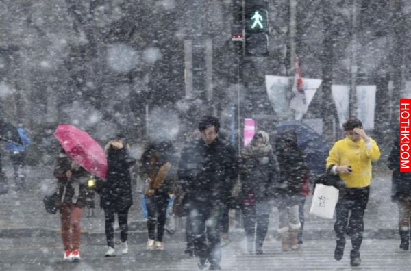 3月9日台灣又要下雪了！專家指出這波寒害不下「霸王級寒流」！請分享出去告訴農漁業朋 ...