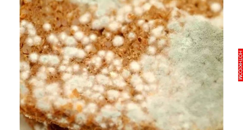 「這些食物」吃了小心得「肝癌」！快告訴家人別再吃了！