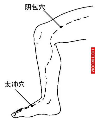 春季正是養肝時，不花一毛錢，就讓熬夜爆肝的孩子恢復元氣!!! ...