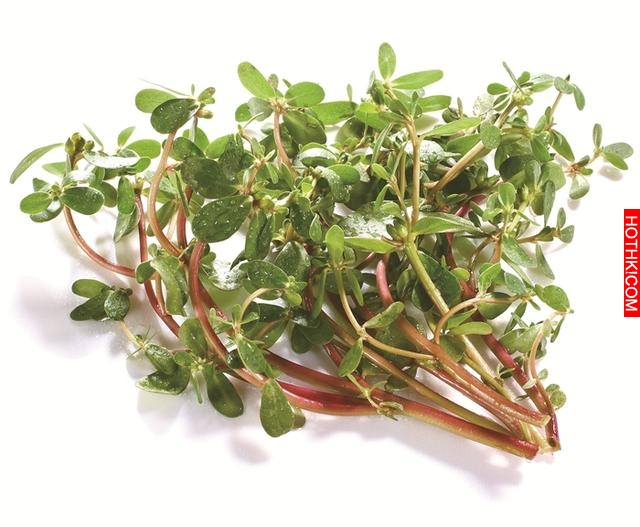 春天野菜「抗癌」排行榜，第一名竟然是它！看你知道幾個