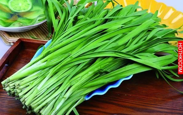 這十種「手術刀等級」的刮油食物，不用抽脂，就可以把你腸胃的油刮光光!!! ...