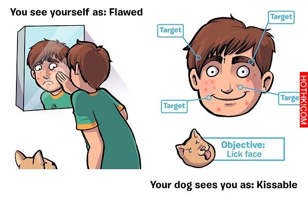 狗狗眼中的你，原來是醬子，太感人了怎麼能不愛牠們!