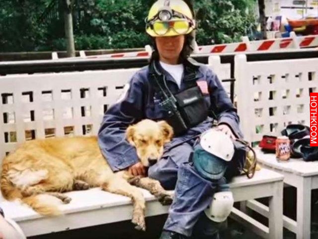 消防隊員8年前收養了一隻受凍小狗，去年小狗死後竟發生了這件事