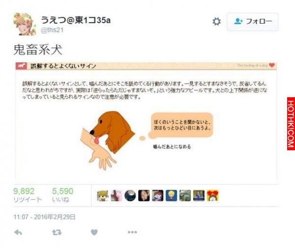 為何摸貓貓狗狗時他會突然咬你一口？90%的人全搞錯了！主人在得知背後的「殘酷真相」 ...