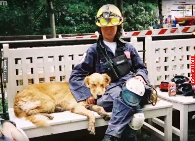 消防隊員們在8年前的冬天收養了一隻受凍的小狗，去年小狗死後他竟然在危險的火場聽到 ...