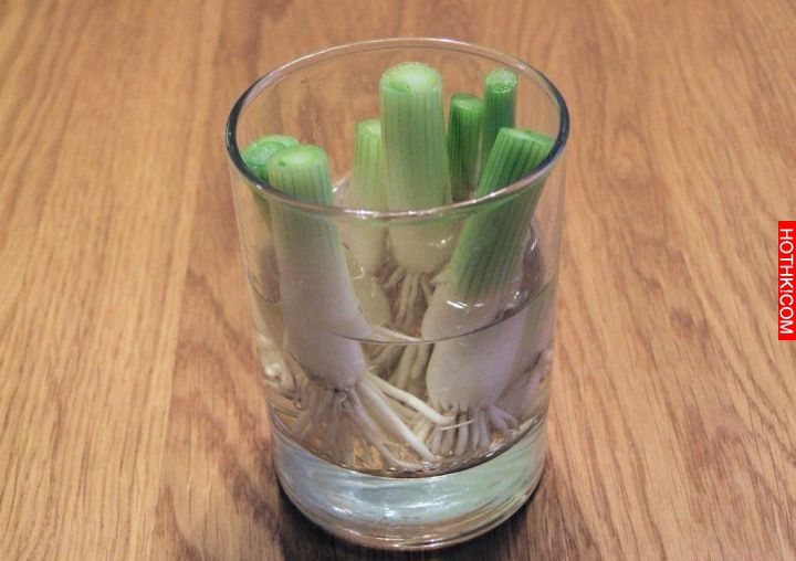 8種「只需買一次就可以一直吃到永遠」的蔬菜！