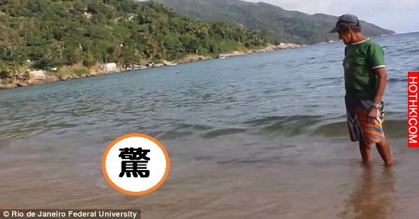 他救了一隻被石油污染的企鵝，康復後海放牠回家，數月後他重回海邊竟然發現了這個難以 ...