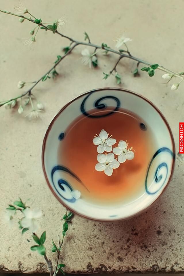 太神奇！我把隔夜茶「這樣用」，沒想到不只眼睛清晰了，連頭髮都長出來了！ ...